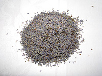 Pot pourri & Stripped Lavender (intermedias)